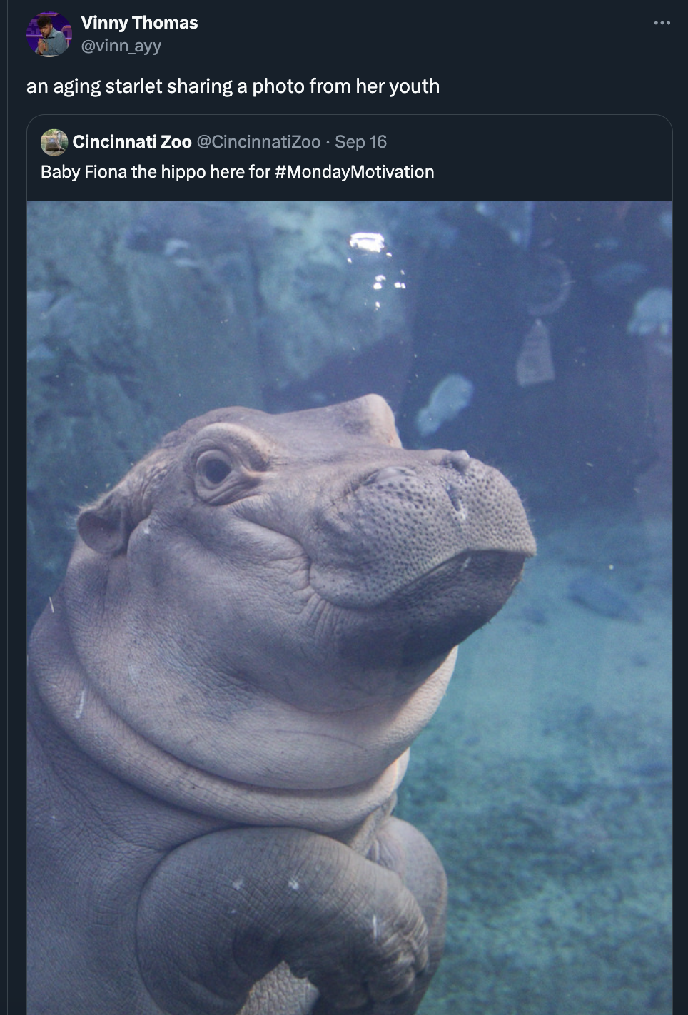 hippopotamus - Vinny Thomas vinn ayy an aging starlet sharing a photo from her youth Cincinnati Zoo Sep 16 Baby Fiona the hippo here for